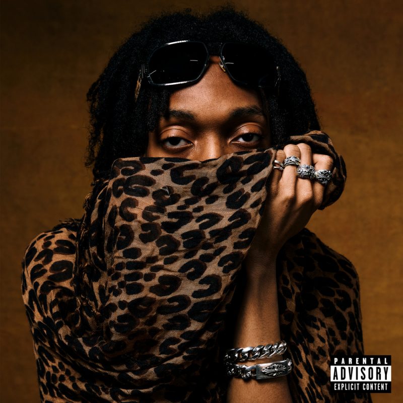 Billie Eilish a încheiat un parteneriat cu Google Maps pentru transport