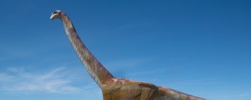 dinosaur